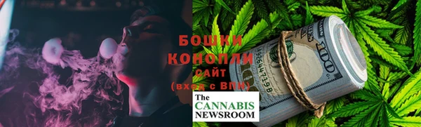 индика Бугульма