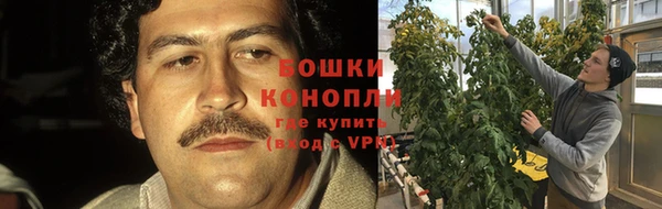 индика Бугульма