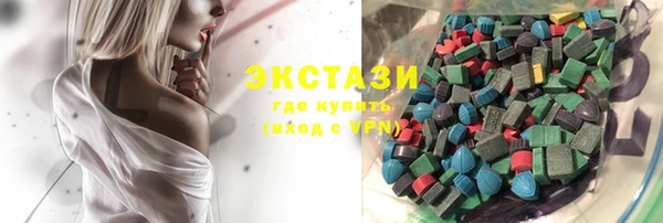 индика Бугульма