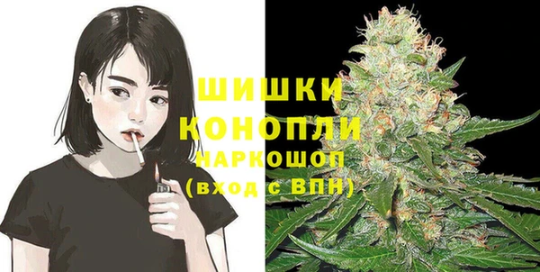 Альфа ПВП Белокуриха