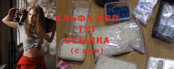 apvp Бородино