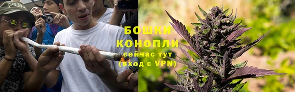 apvp Бородино
