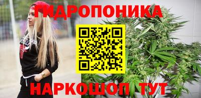 молекула духа Бийск