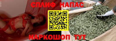 молекула духа Бийск