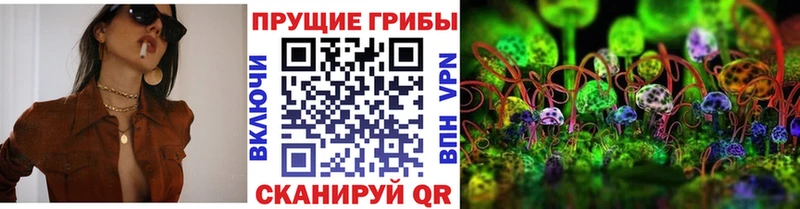 Псилоцибиновые грибы Psilocybine cubensis Горно-Алтайск