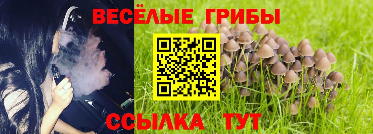 Галлюциногенные грибы мухоморы  купить закладку  Горно-Алтайск  Галлюциногенные грибы ЛСД  Вход с VPN 