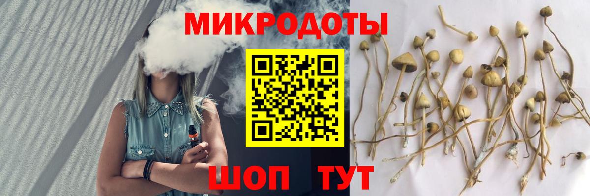 хочу наркоту  Горно-Алтайск  Псилоцибиновые грибы Psilocybine cubensis  Псилоцибиновые грибы Magic Shrooms 